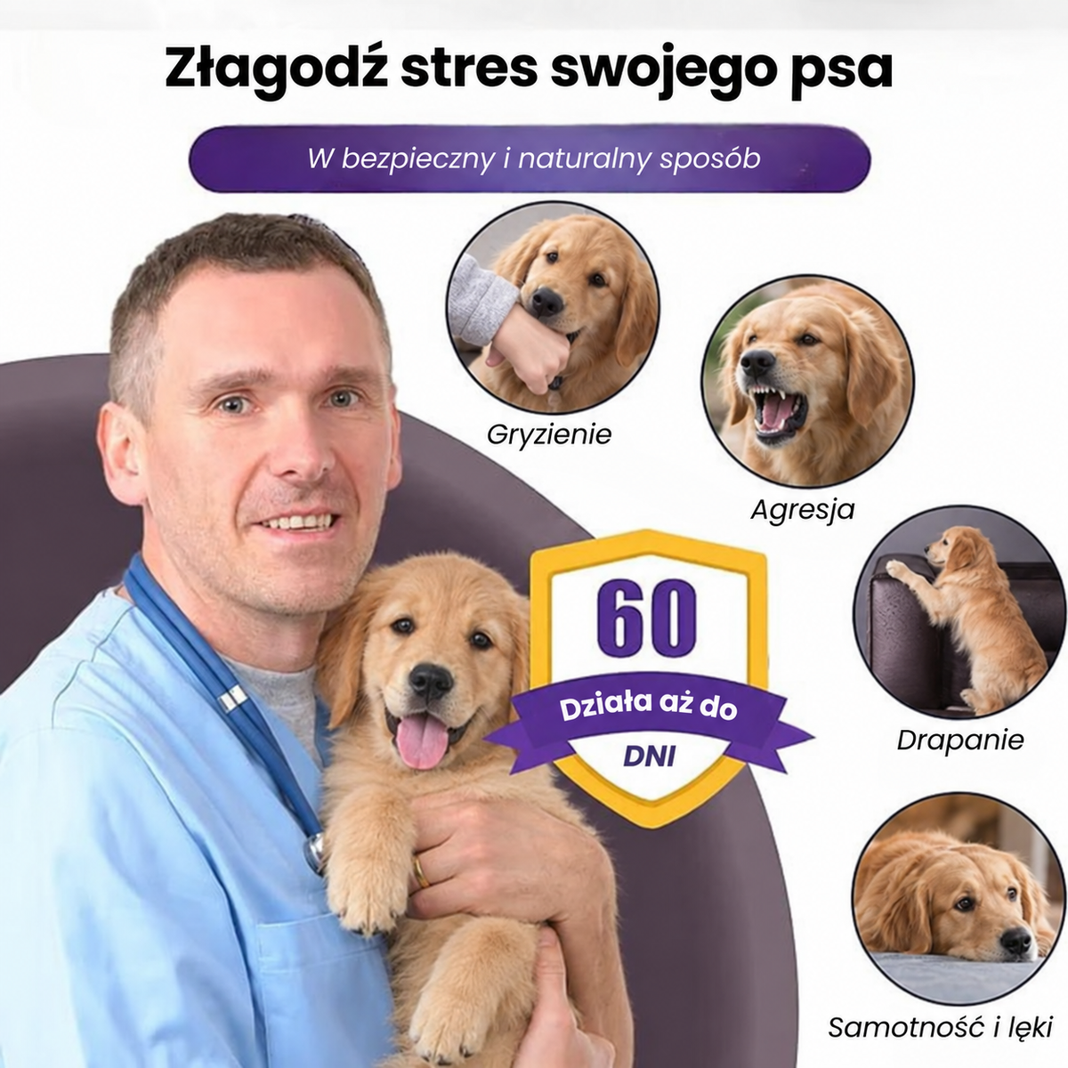 4 Obroże Antystresowe - Lawenda