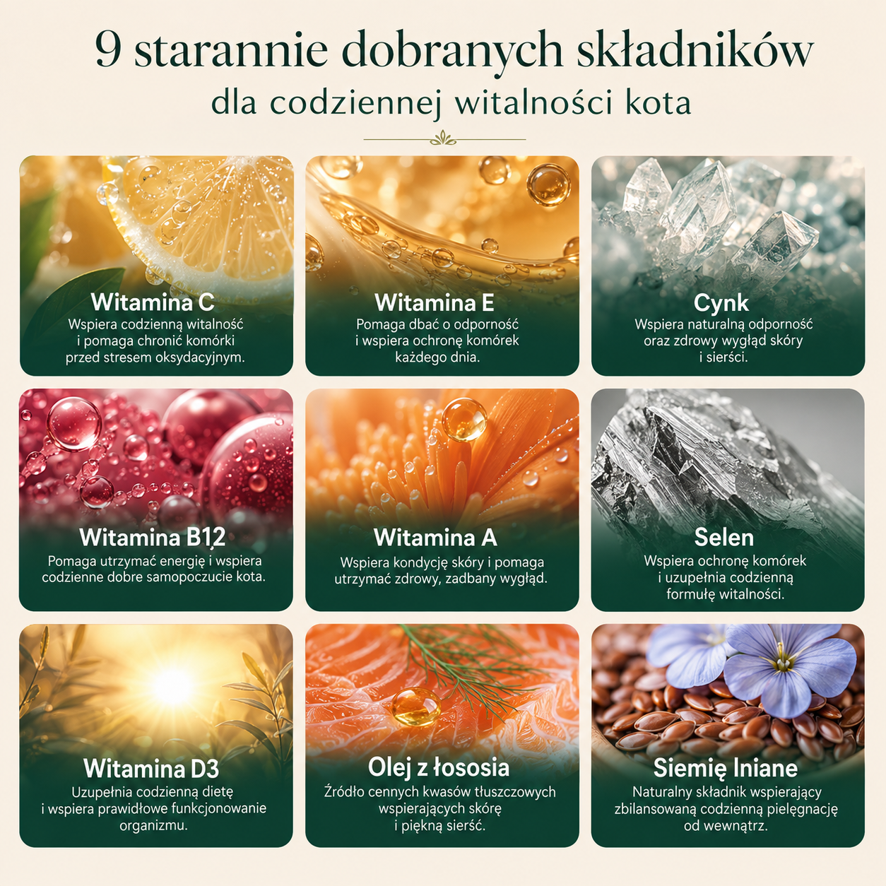 Codzienna Witalność