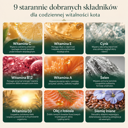 Codzienna Witalność