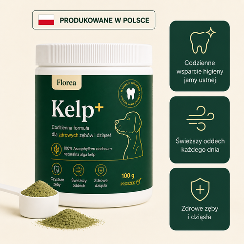 Kelp+