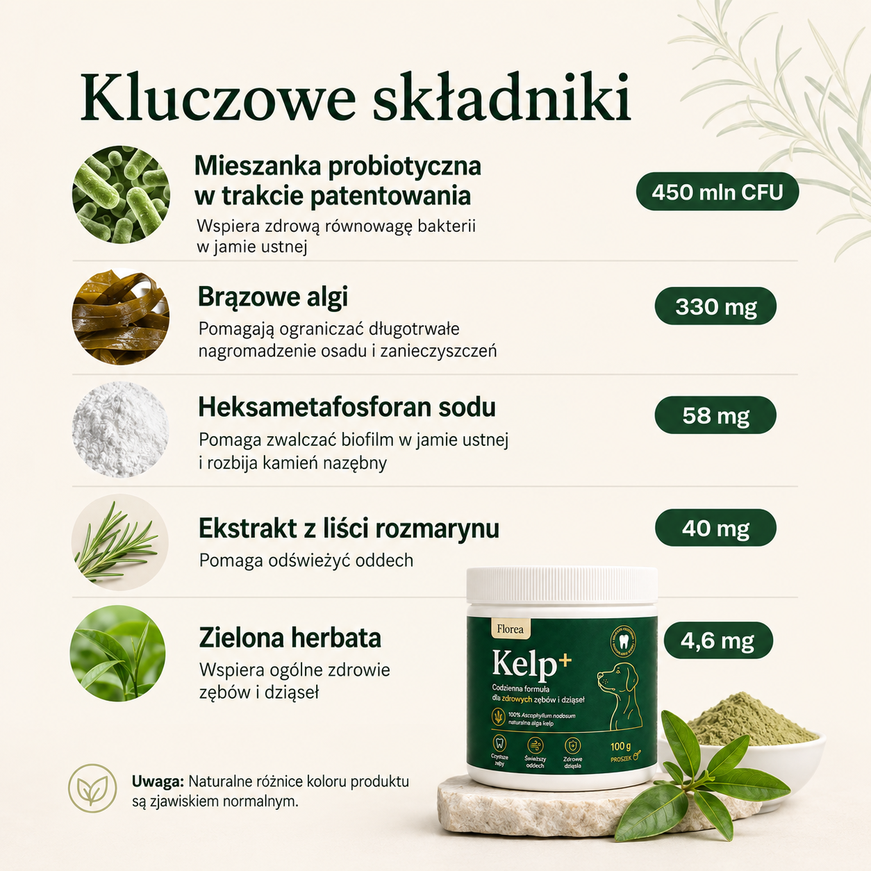 Kelp+