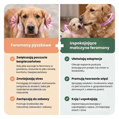 Feromony Florea Psi Zen