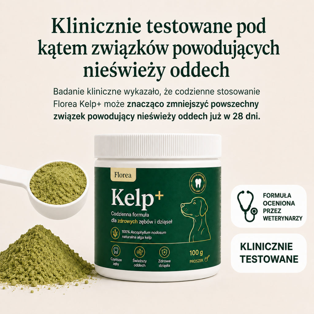 Kelp+