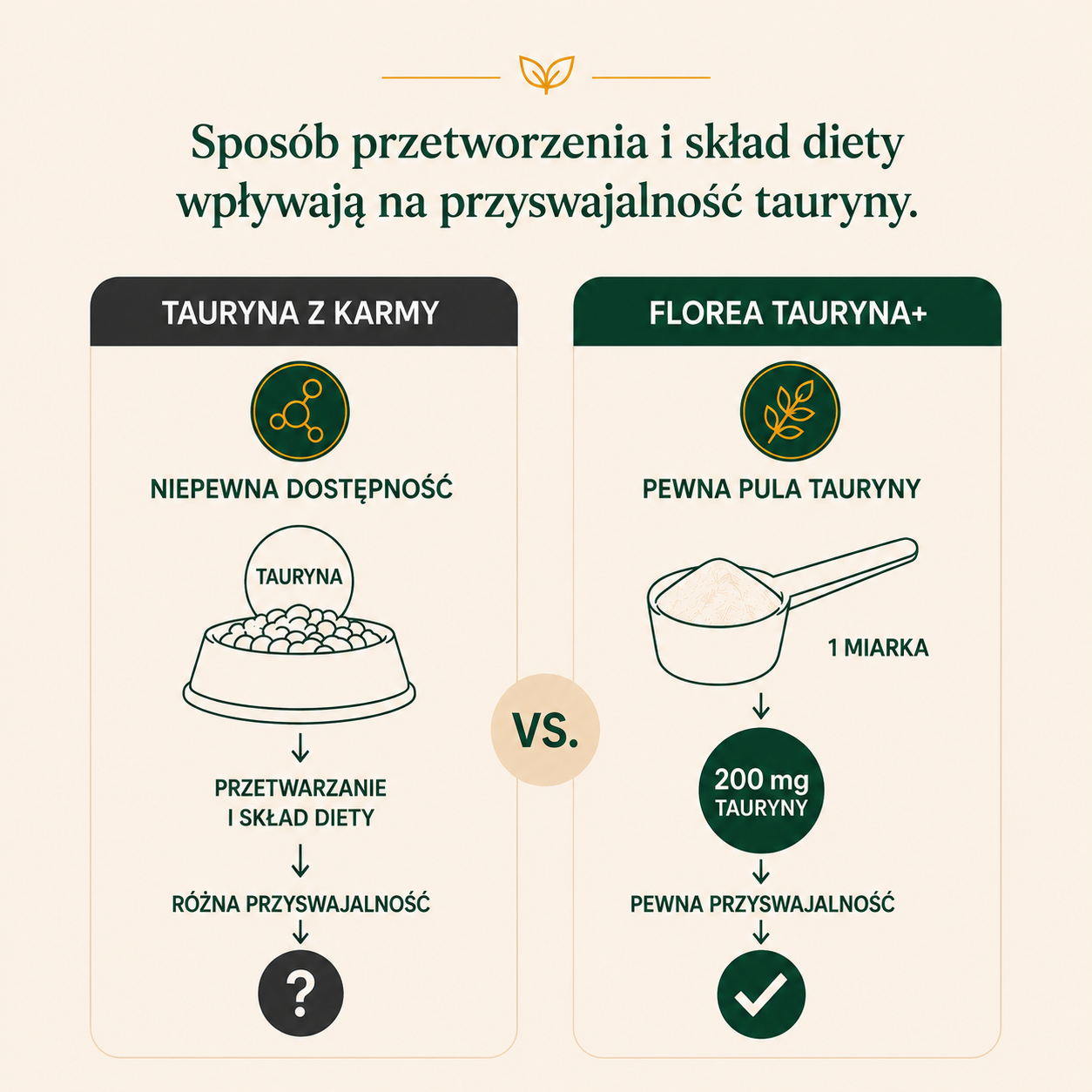 TAURYNA+